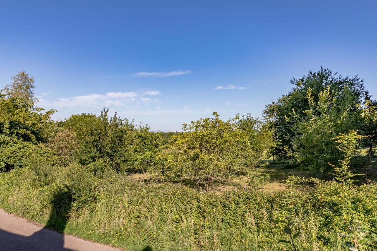 Hurstpierpoint Danny Lodge - Country Cottage Near Brighton By Huluki Sussex Stays מראה חיצוני תמונה