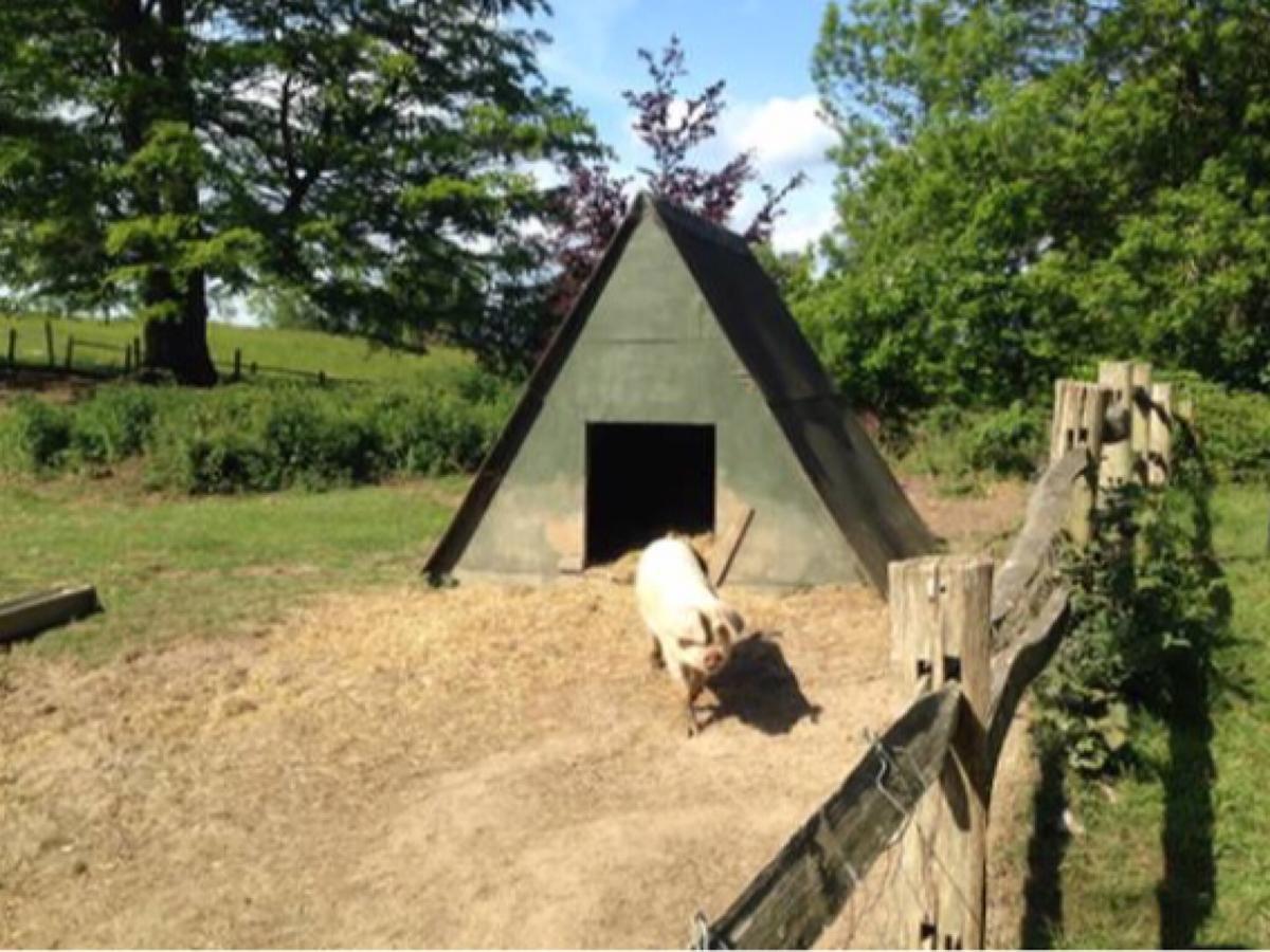 Hurstpierpoint Danny Lodge - Country Cottage Near Brighton By Huluki Sussex Stays מראה חיצוני תמונה